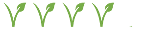Vegan 4 star 300 bij 60 px