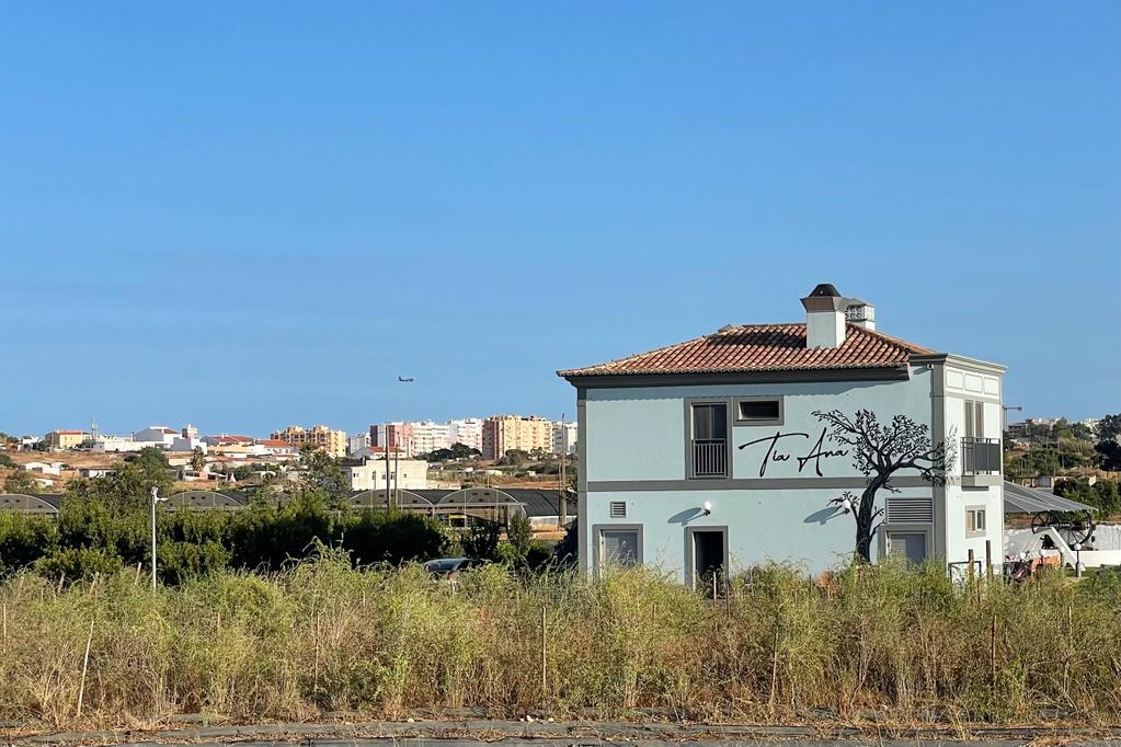 WhatsApp Image 2023-07-23 at 09.35.14