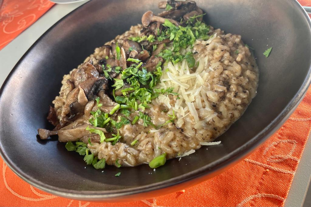 WhatsApp Image 2023-07-23 at 09.48.51