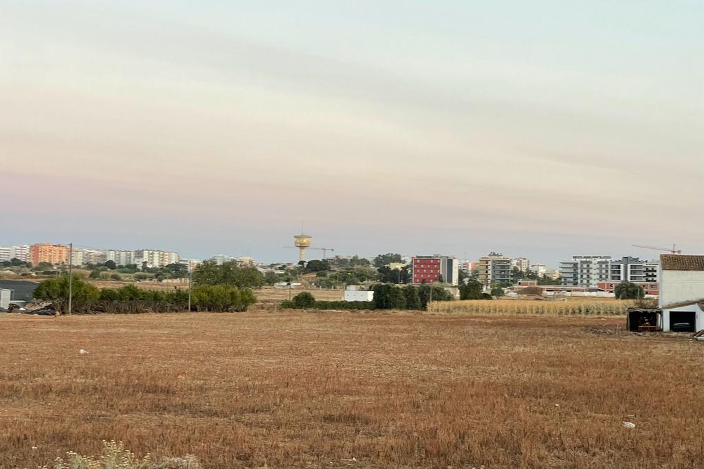 WhatsApp Image 2023-07-23 at 09.51.36