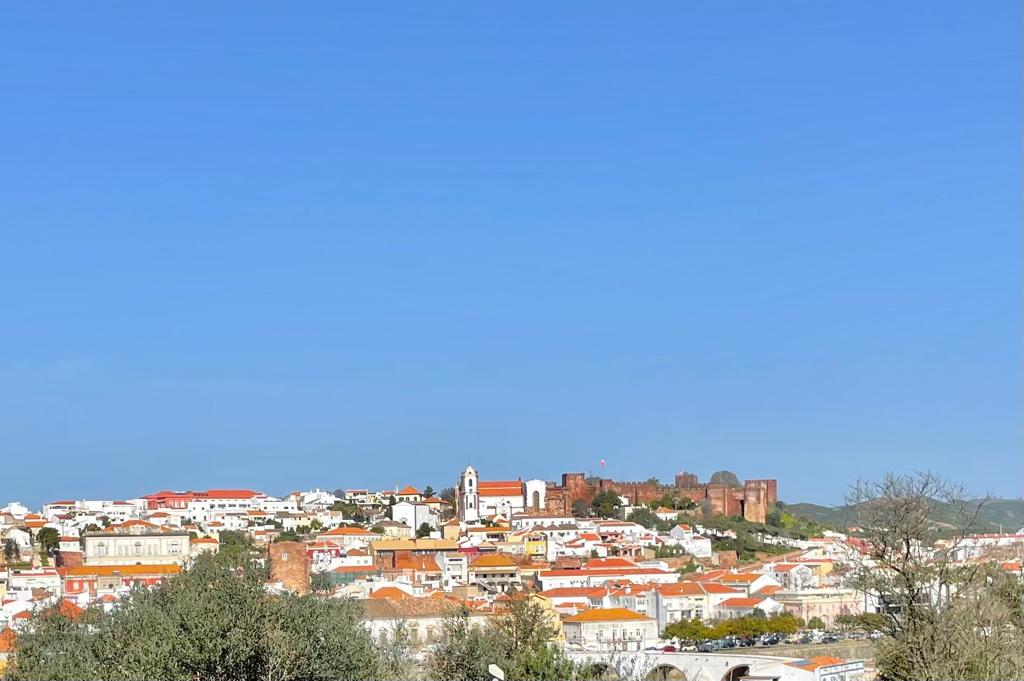 WhatsApp Image 2023-08-11 at 18.25.25