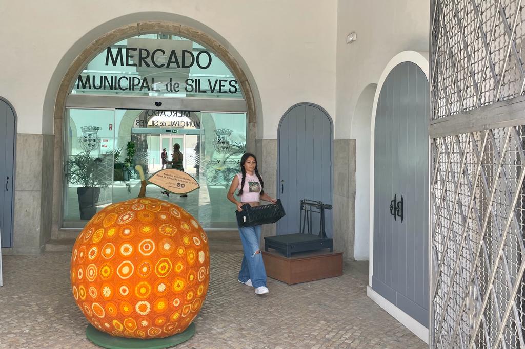 WhatsApp Image 2023-08-11 at 18.26.26