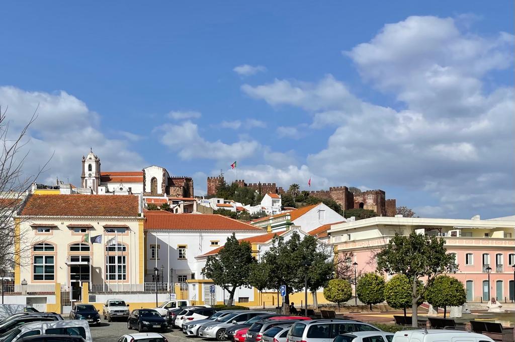 WhatsApp Image 2023-08-11 at 18.30.49(1)