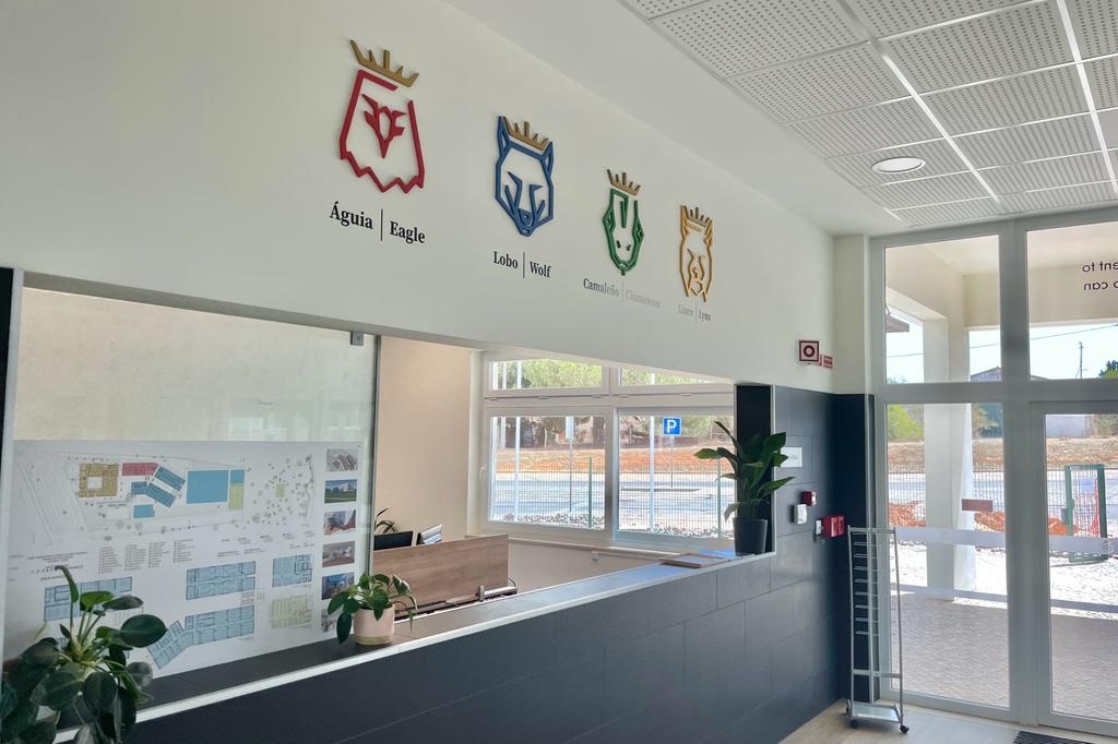 WhatsApp Image 2023-08-14 at 19.46.17