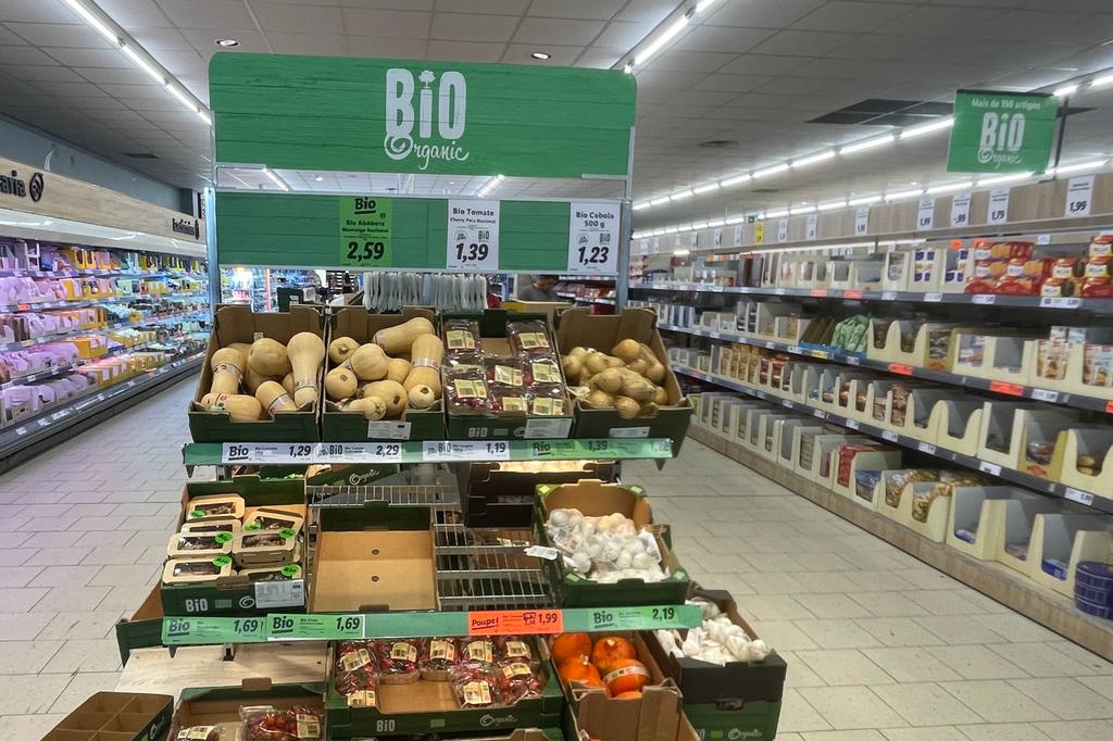 WhatsApp Image 2023-08-23 at 21.09.17