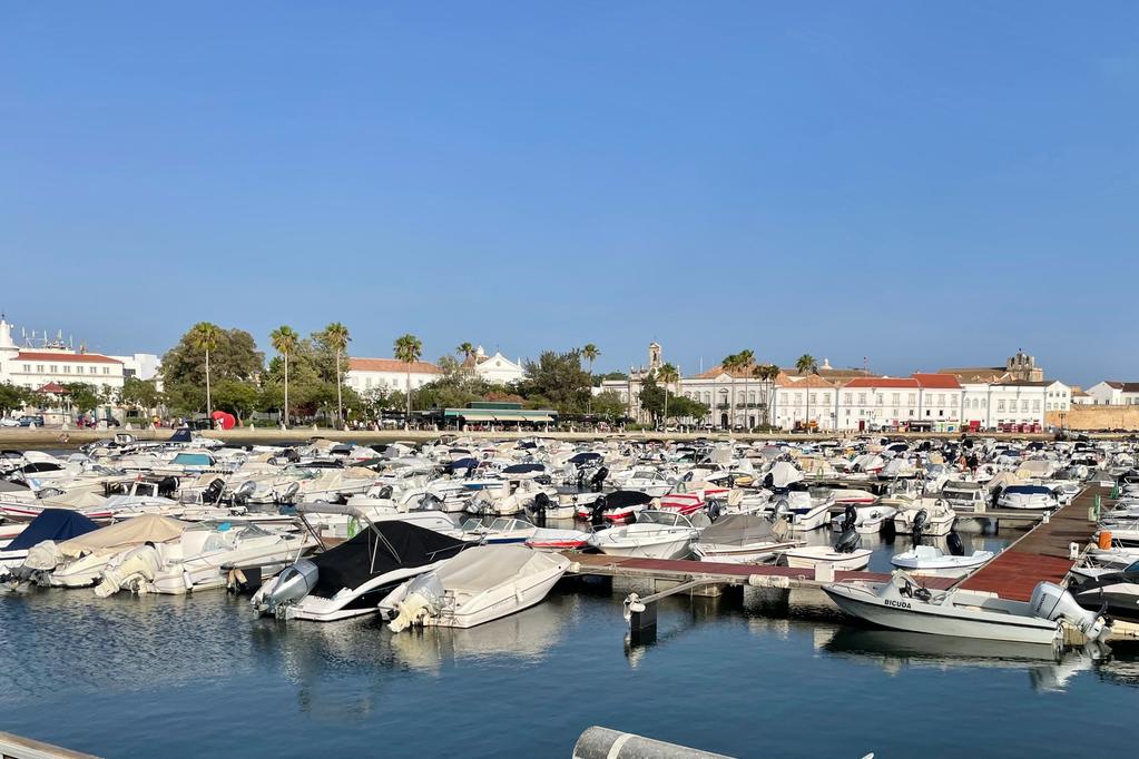 WhatsApp Image 2023-12-15 at 13.00.57(1)