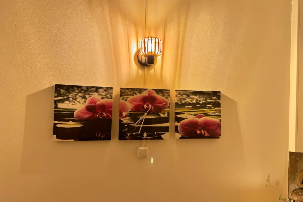 WhatsApp Image 2024-01-21 at 16.57.49