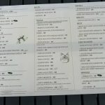 WhatsApp Image 2024-03-28 at 15.18.47(1)