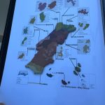 WhatsApp Image 2024-06-16 at 10.42.52(4)