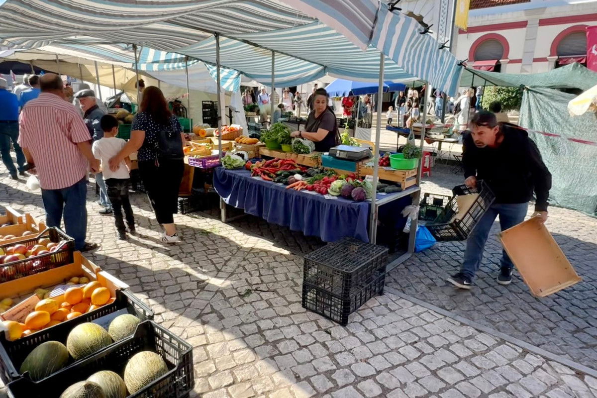 WhatsApp Image 2024-09-28 at 15.42.06(2)