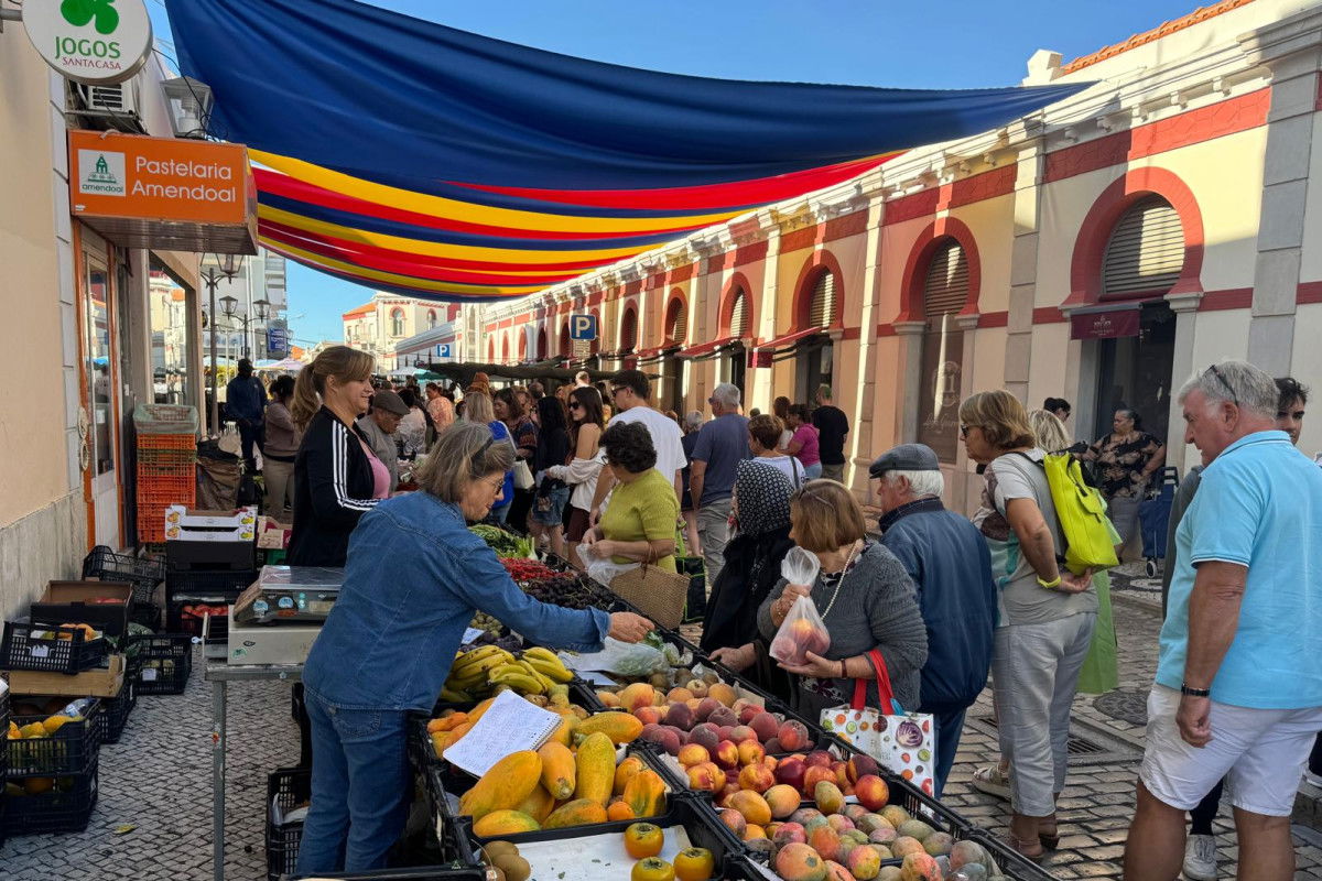 WhatsApp Image 2024-09-28 at 15.42.07(7)