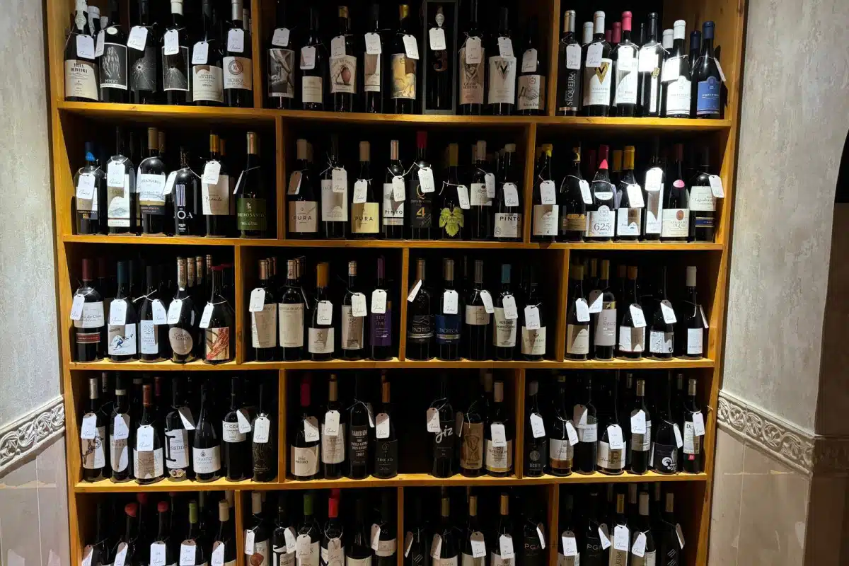 WhatsApp Image 2024-11-03 at 13.50.29