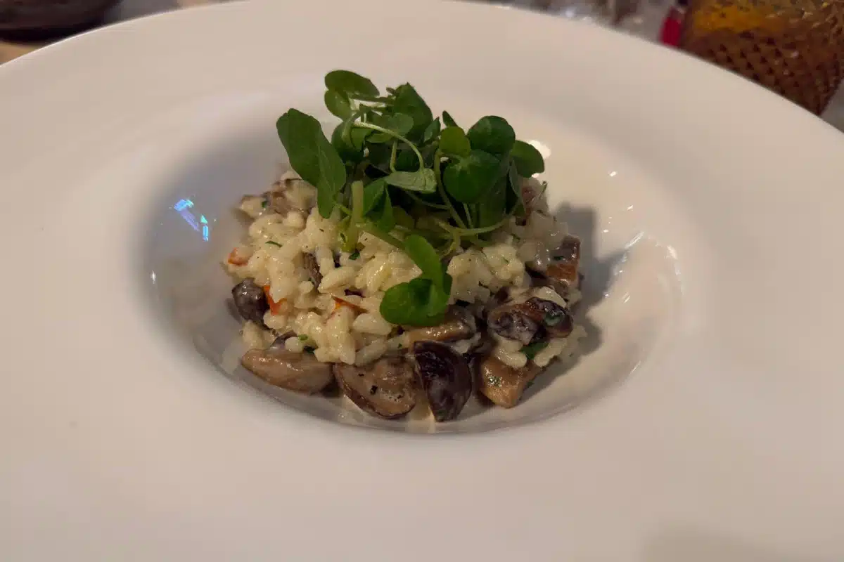 WhatsApp Image 2025-01-06 at 15.39.44(2)