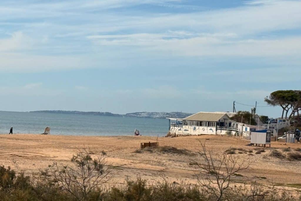 Rebuilding BJ’s Beach Club Quarteira