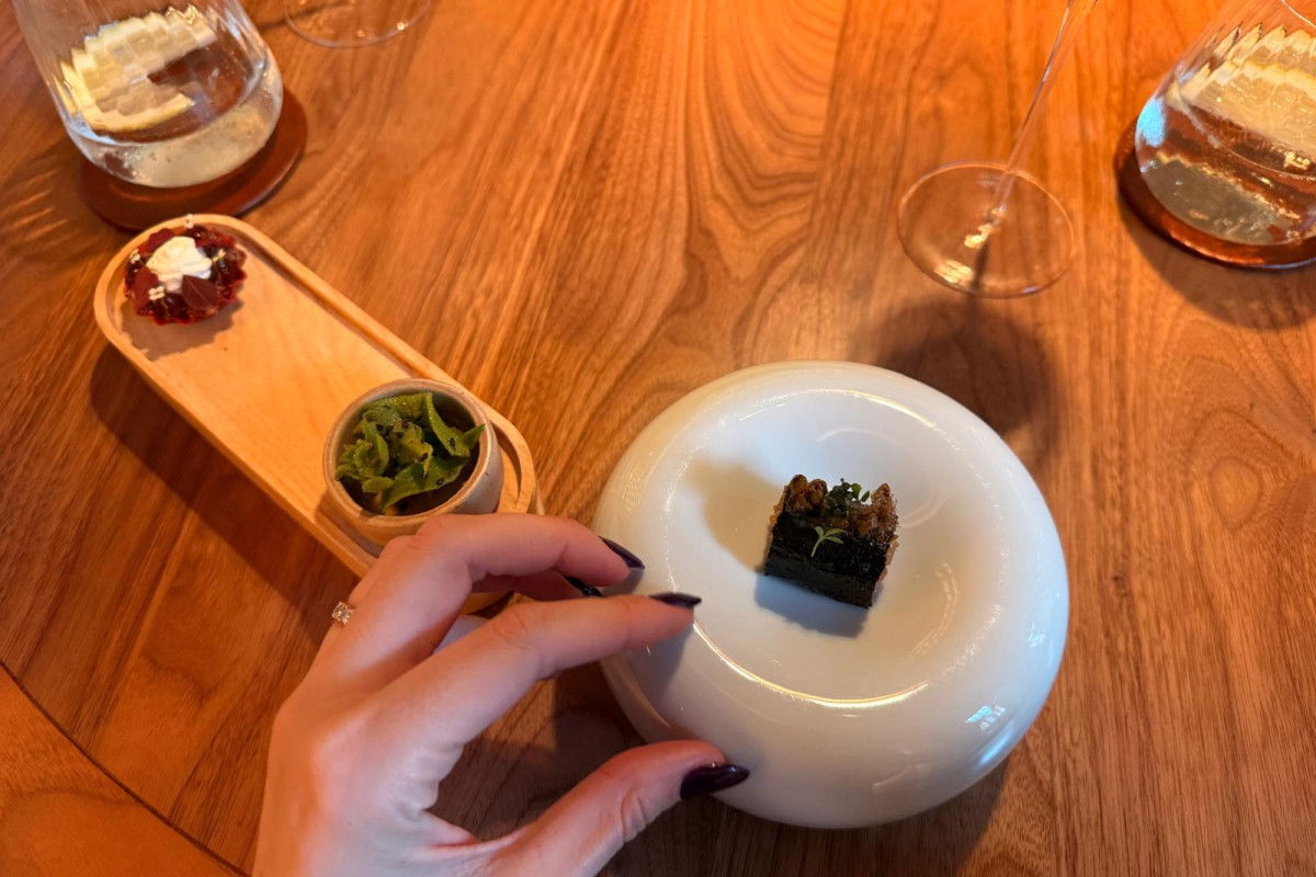 WhatsApp Image 2025-11-19 at 15.11.08