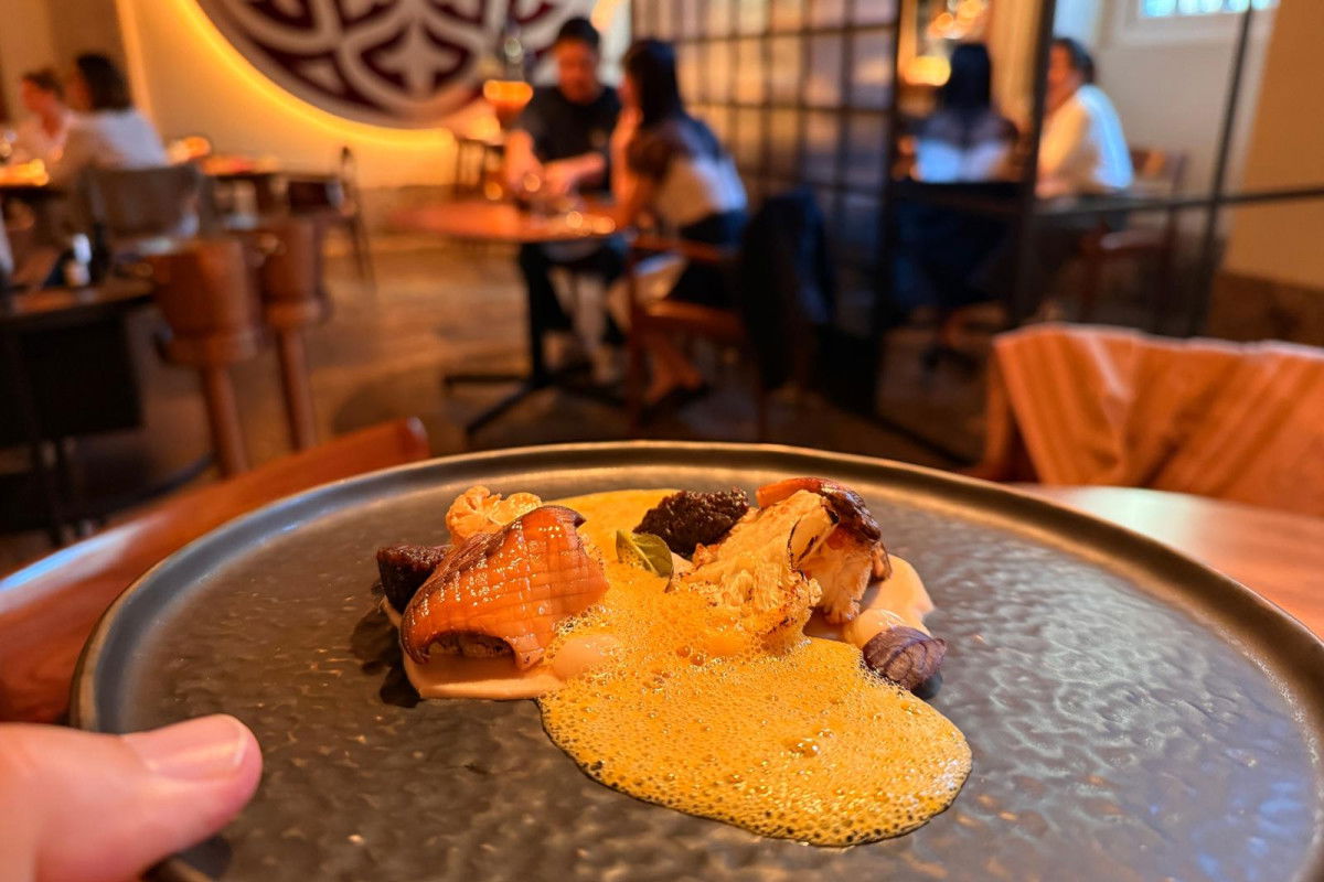 WhatsApp Image 2025-11-19 at 15.11.10