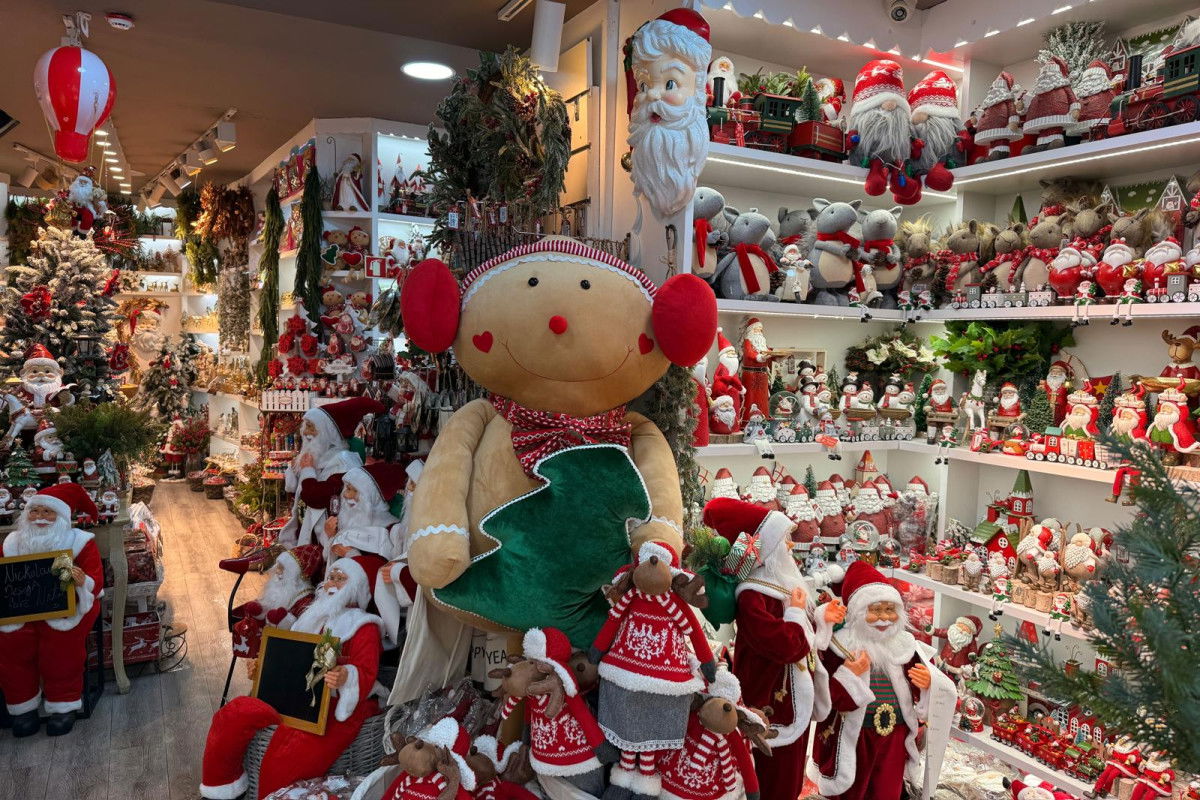 WhatsApp Image 2025-11-21 at 13.51.35(1)