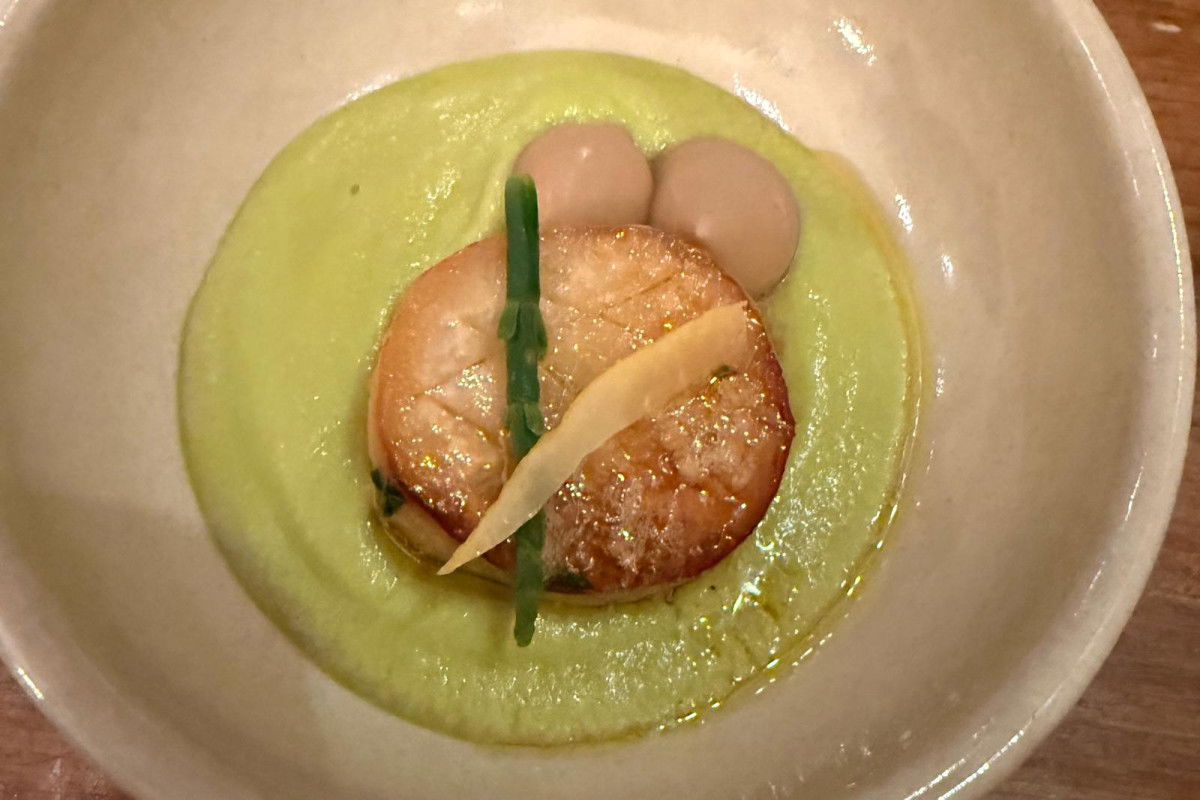 WhatsApp Image 2025-11-25 at 15.21.48(2)