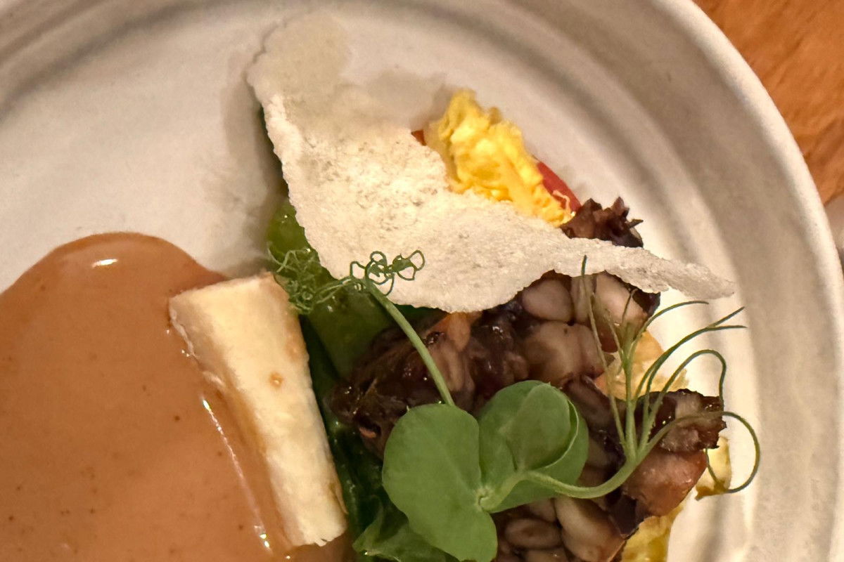 WhatsApp Image 2025-11-25 at 15.21.49(4)