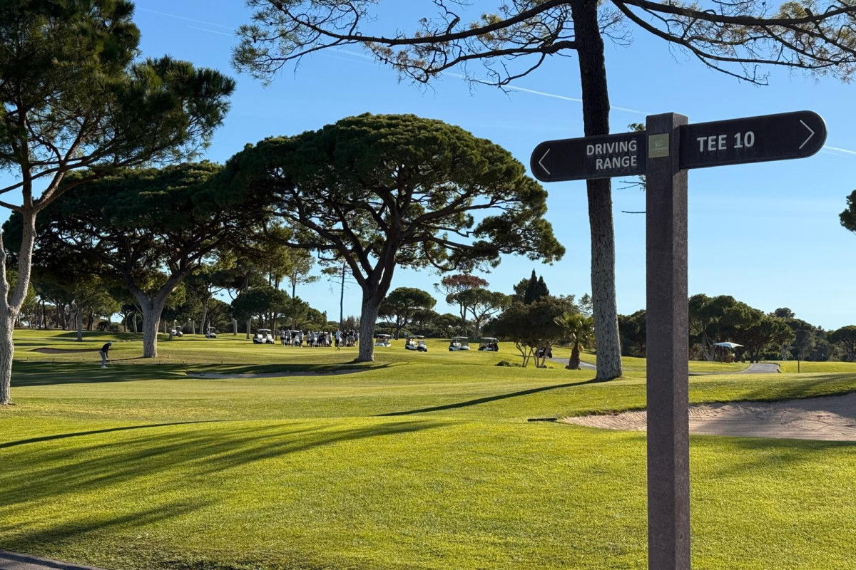 WhatsApp Image 2025-11-26 at 15.31.42